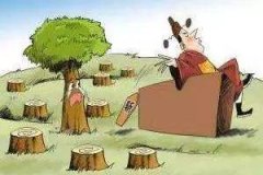 违法采伐林木罪是什么?